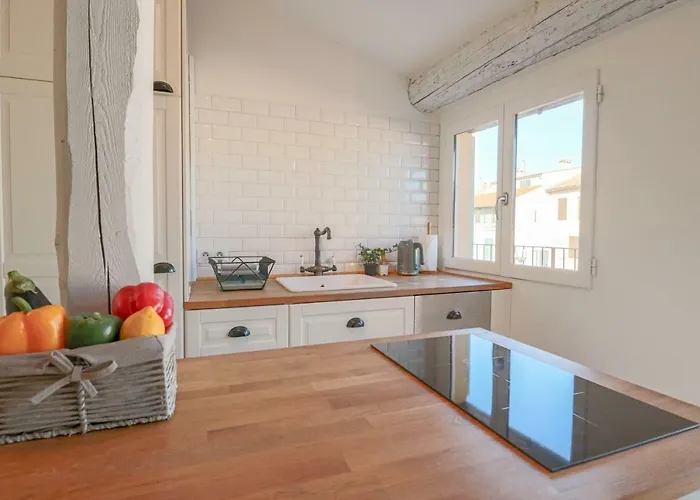 Clt - Unique Duplex & Terrace On The Provencal Market * 昂蒂布